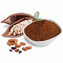 Cacao Powder